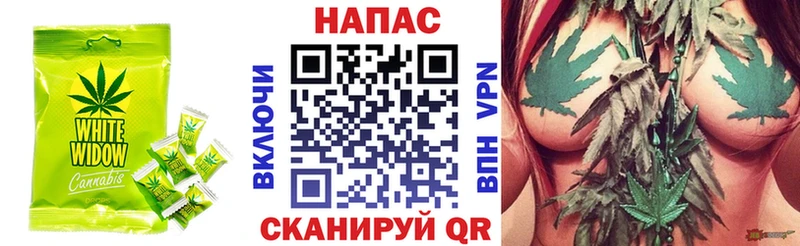 дарнет шоп  Никольск  Печенье с ТГК конопля 