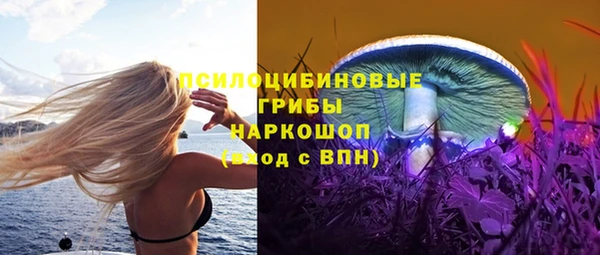 ешки Нея